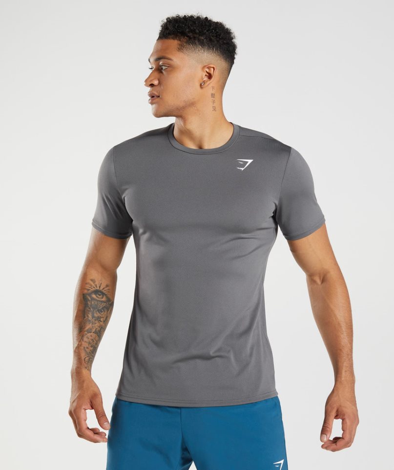 Koszulki Gymshark Arrival Męskie Szare | PL 491GKF